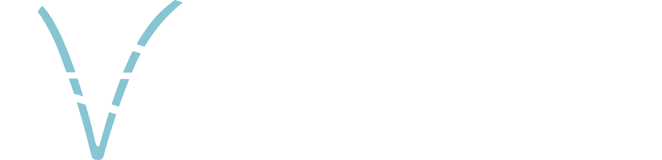NaVion Community Association Management Logo